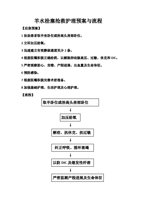 羊水栓塞抢救护理预案与流程