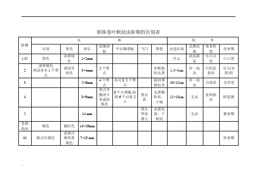 稻纵卷叶螟幼虫龄期的区别表