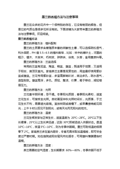 墨兰的养殖方法与注意事项