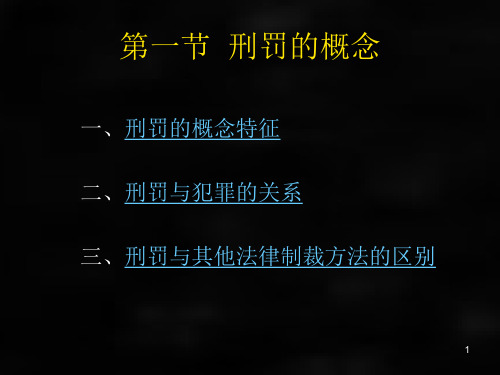 刑法课件刑法总论章节14