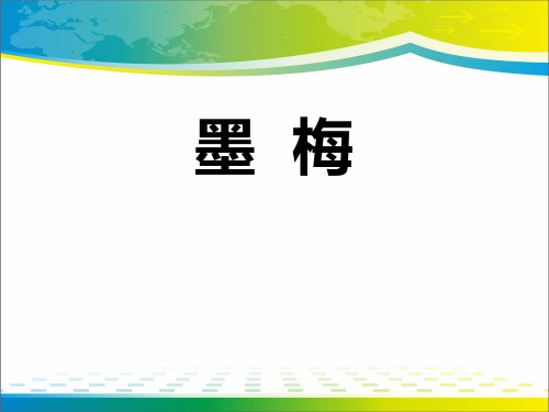 《墨梅》PPT【完美版课件】