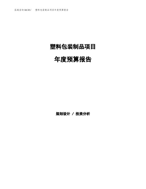 塑料包装制品项目年度预算报告