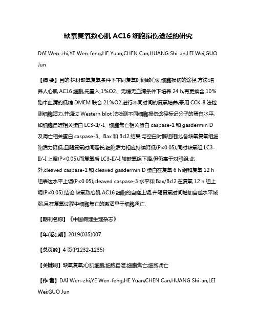 缺氧复氧致心肌AC16细胞损伤途径的研究