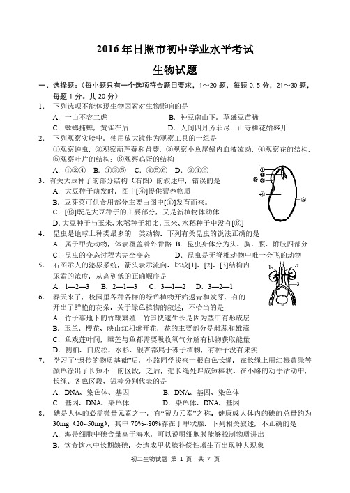 山东省日照市2016年初中学业水平考试生物试题及答案(PDF版,有答案)