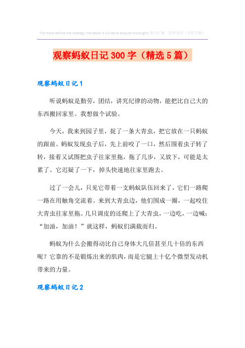 观察蚂蚁日记300字(精选5篇)