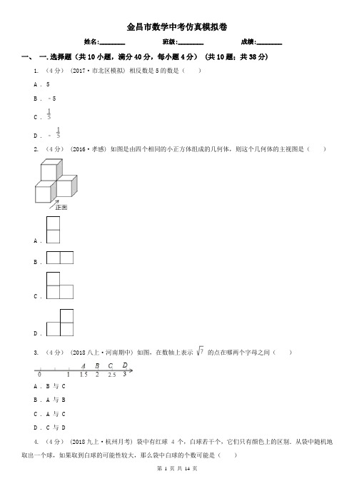 金昌市数学中考仿真模拟卷