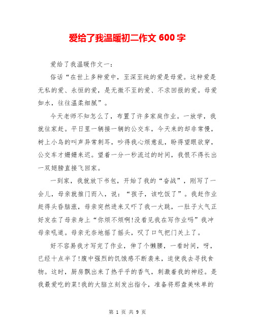 爱给了我温暖初二作文600字