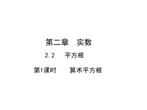 2.2.1 算术平方根 北师大版数学八年级上册教学课件