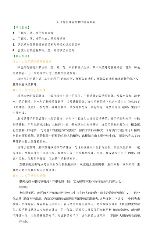 华师大科学八上绿色 开花植物的营养器官(知识讲解+课后练习)