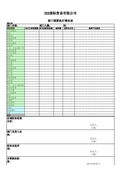 部门预算执行情况表模板