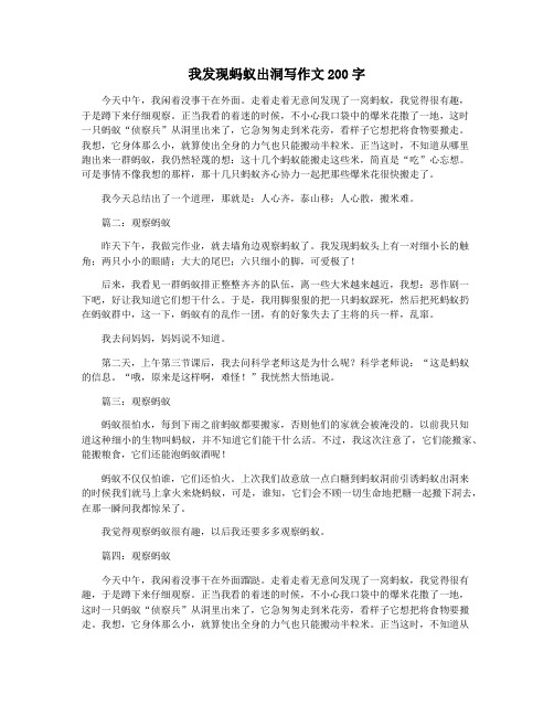 我发现蚂蚁出洞写作文200字