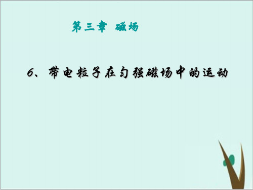 《带电粒子在匀强磁场中的运动》人教版高中物理ppt课件1