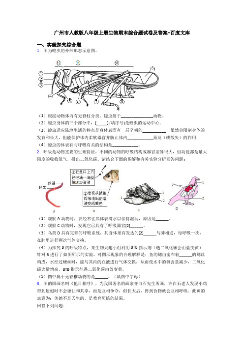 广州市人教版八年级上册生物期末综合题试卷及答案-百度文库