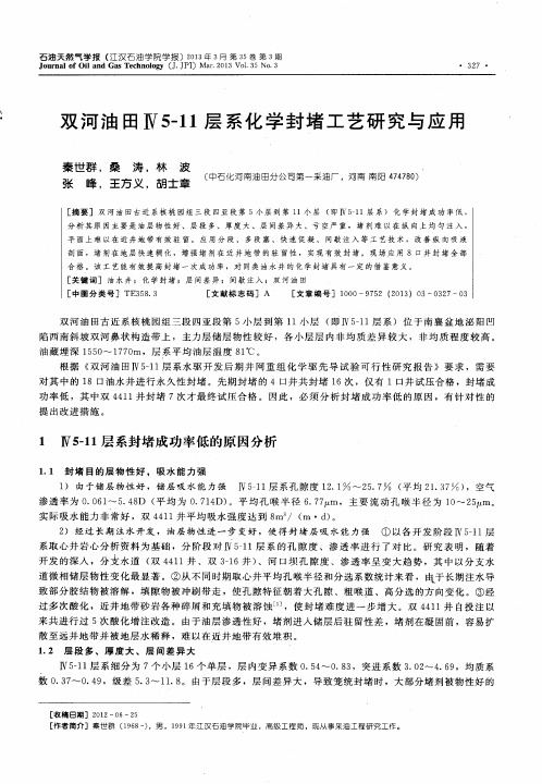 双河油田Ⅳ5-11层系化学封堵工艺研究与应用