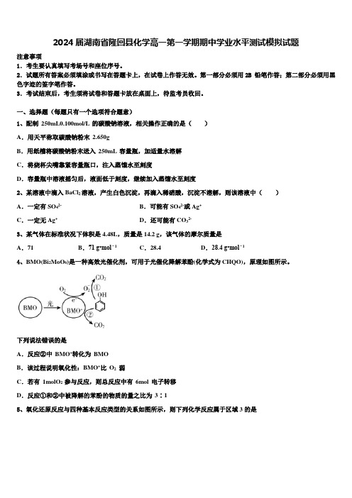 2024届湖南省隆回县化学高一第一学期期中学业水平测试模拟试题含解析