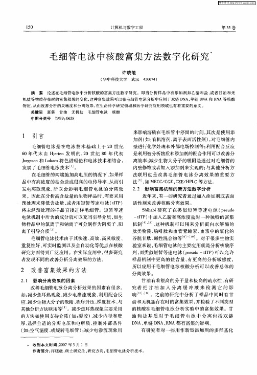 毛细管电泳中核酸富集方法数字化研究