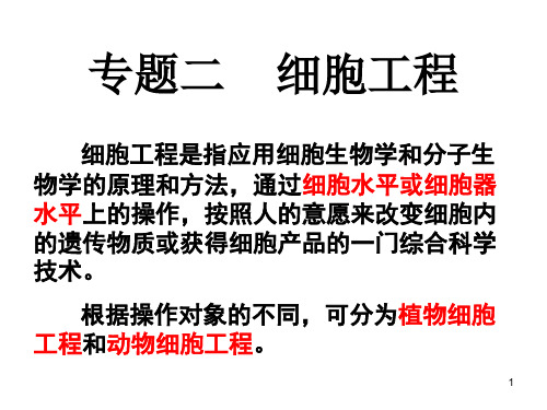 211 植物细胞工程的基本技术PPT课件