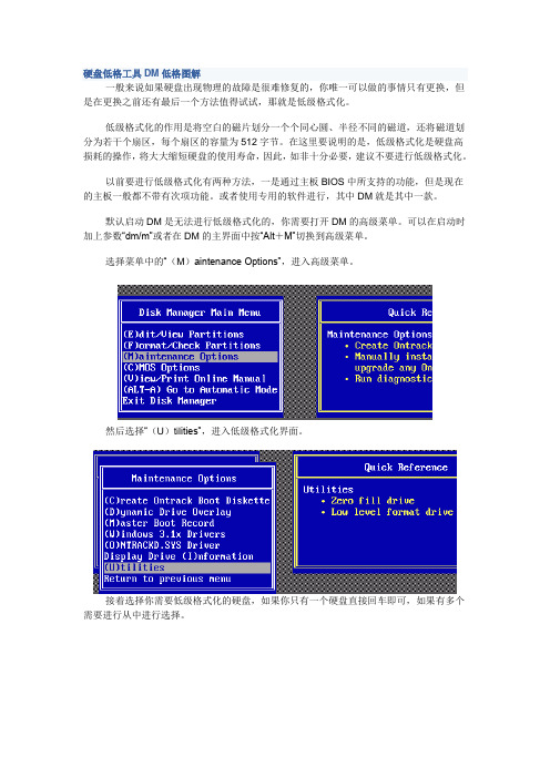 硬盘低格工具DM低格图解