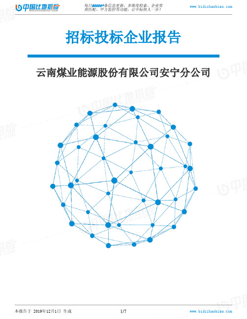 云南煤业能源股份有限公司安宁分公司-招投标数据分析报告