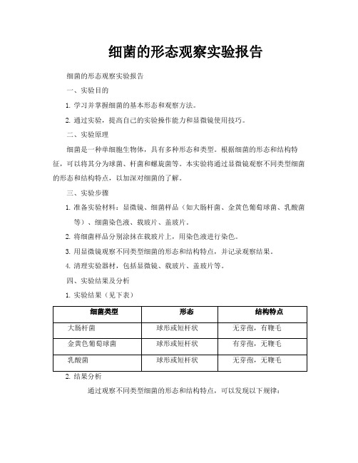 细菌的形态观察实验报告