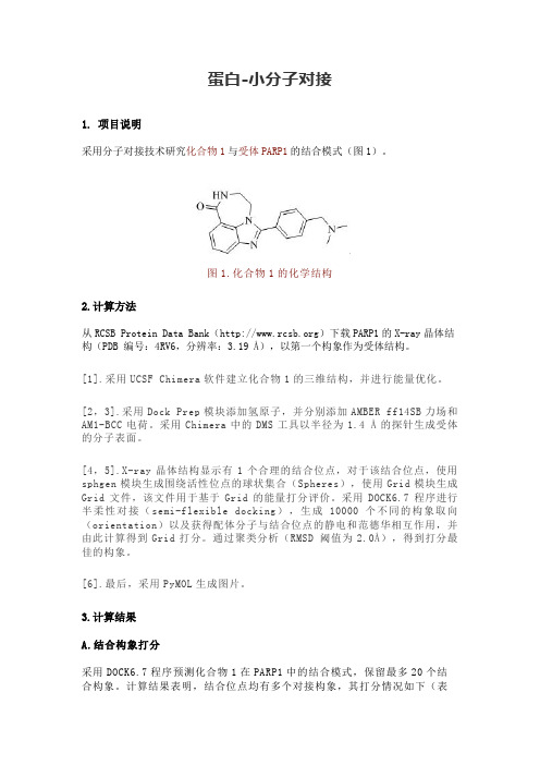 蛋白-小分子对接