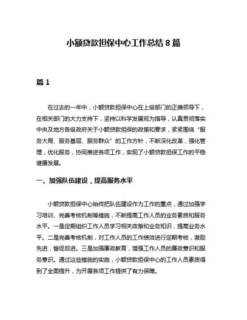 小额贷款担保中心工作总结8篇