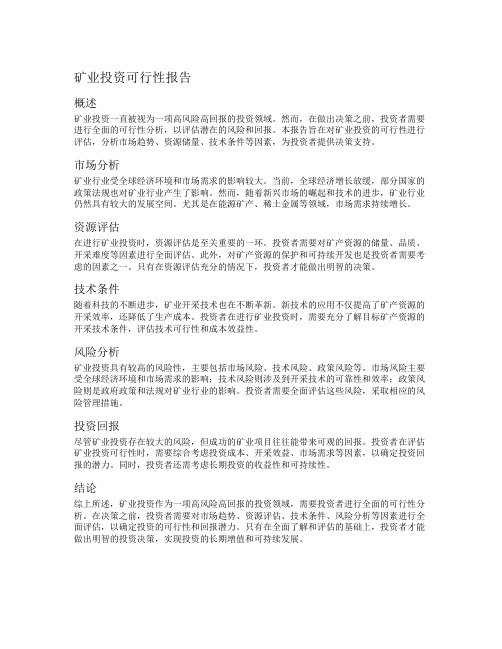 矿业投资可行性报告