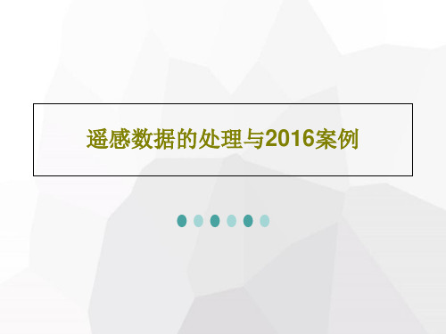 遥感数据的处理与2016案例共113页文档