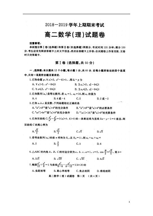 河南省信阳市第一高级中学2018_2019学年高二数学上学期期末考试试题理(扫描版)