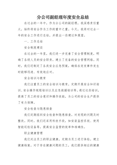 分公司副经理年度安全总结