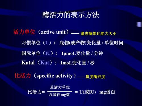 酶工程 第二章 产酶微生物的分离和选育