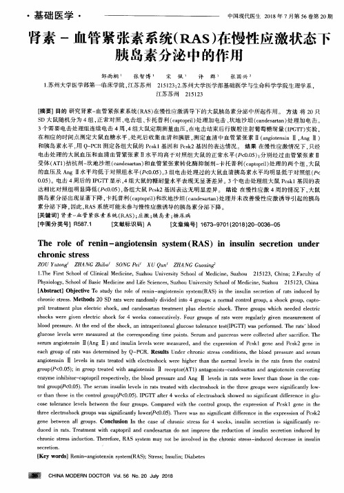 肾素-血管紧张素系统(RAS)在慢性应激状态下胰岛素分泌中的作用