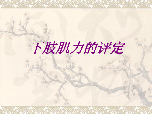 医学下肢肌力的评定ppt培训课件