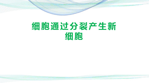 人教版生物七年级上册第二单元第二章第一节《细胞通过分裂产生新细胞》(25张PPT)