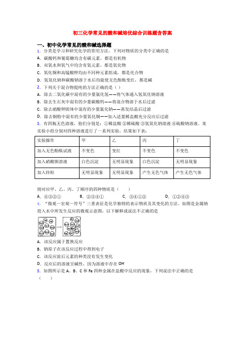 初三化学常见的酸和碱培优综合训练题含答案