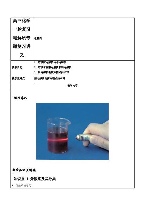 高三化学一轮复习电解质专题复习讲义