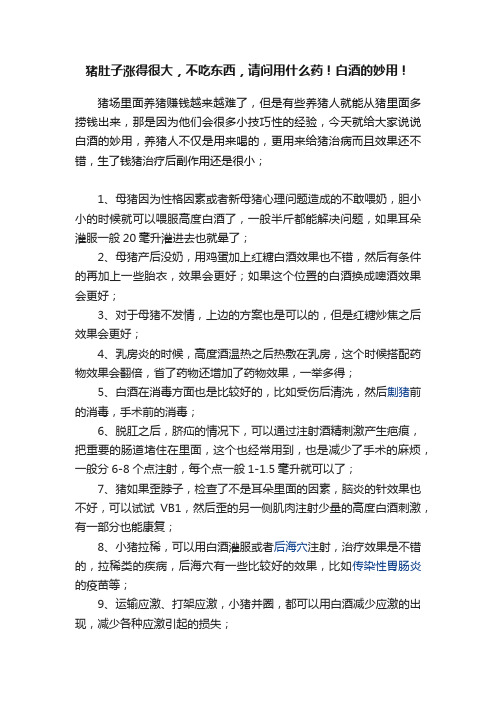 猪肚子涨得很大，不吃东西，请问用什么药！白酒的妙用！