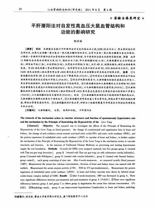 平肝潜阳法对自发性高血压大鼠血管结构和功能的影响研究