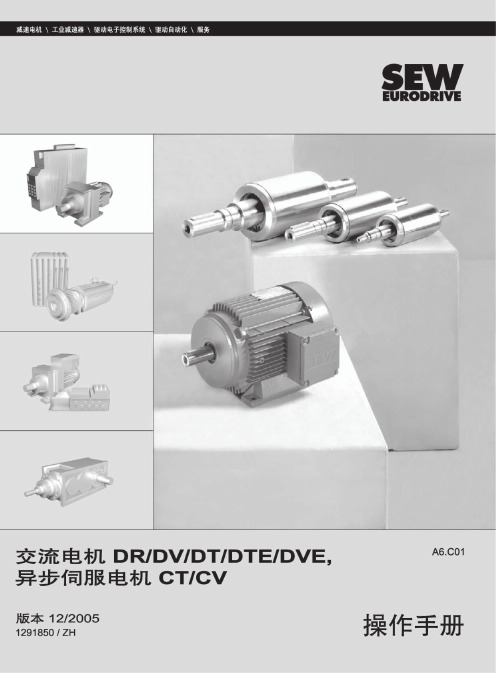 SEW中文电机操作手册