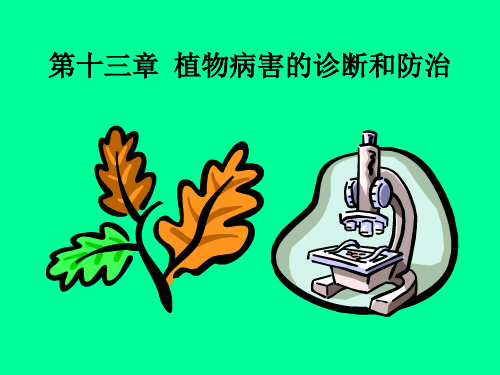 植物病害的诊断和防治ppt植物病害的