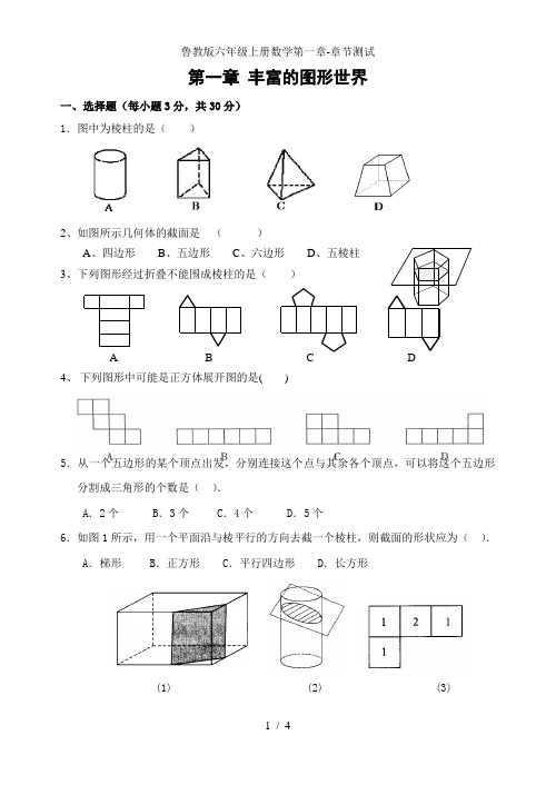 鲁教版六年级上册数学第一章-章节测试