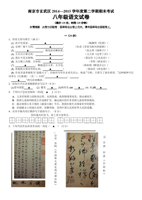 南京市玄武区八年级语文第二学期期末试卷及答案