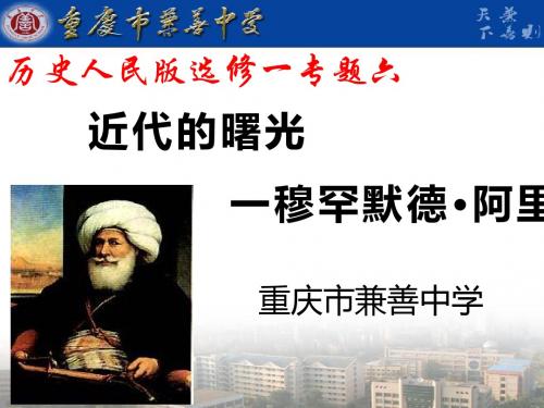 穆罕默德·阿里改革 PPT课件 26 人民版