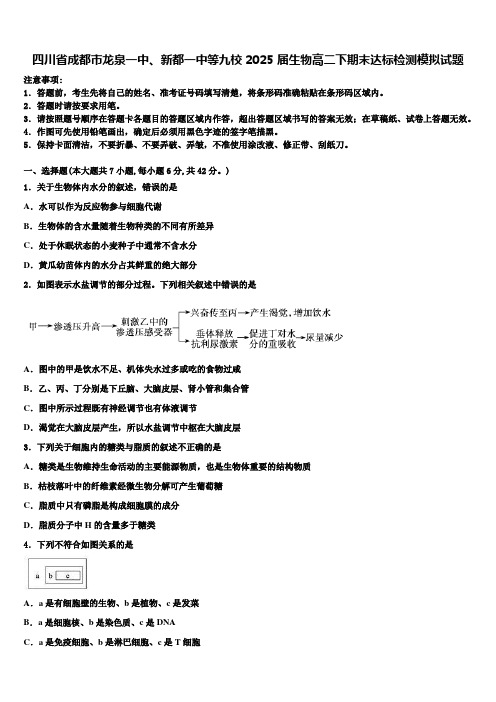 四川省成都市龙泉一中、新都一中等九校2025届生物高二下期末达标检测模拟试题含解析