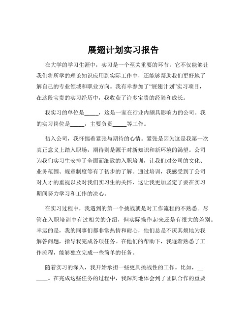 展翅计划实习报告