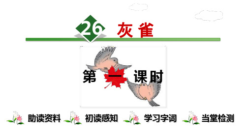 《灰雀》ppt名师课件人教部编版语文1