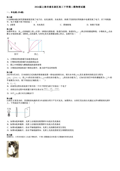 2024届上海市浦东新区高三下学期二模物理试题