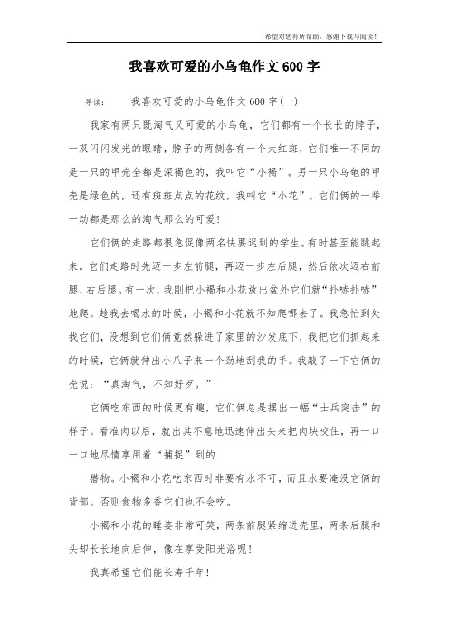 我喜欢可爱的小乌龟作文600字