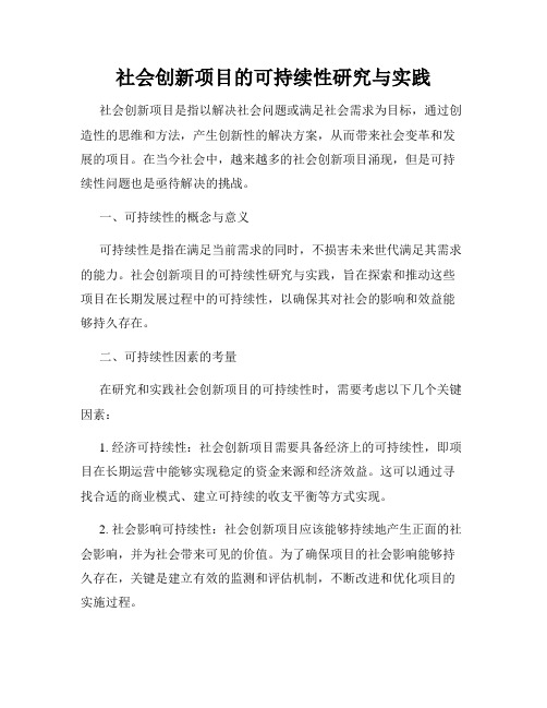 社会创新项目的可持续性研究与实践