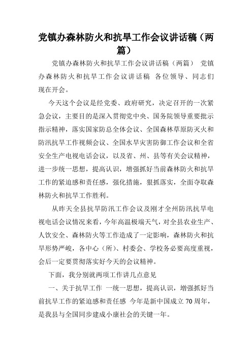 党镇办森林防火和抗旱工作会议讲话稿(两篇).doc